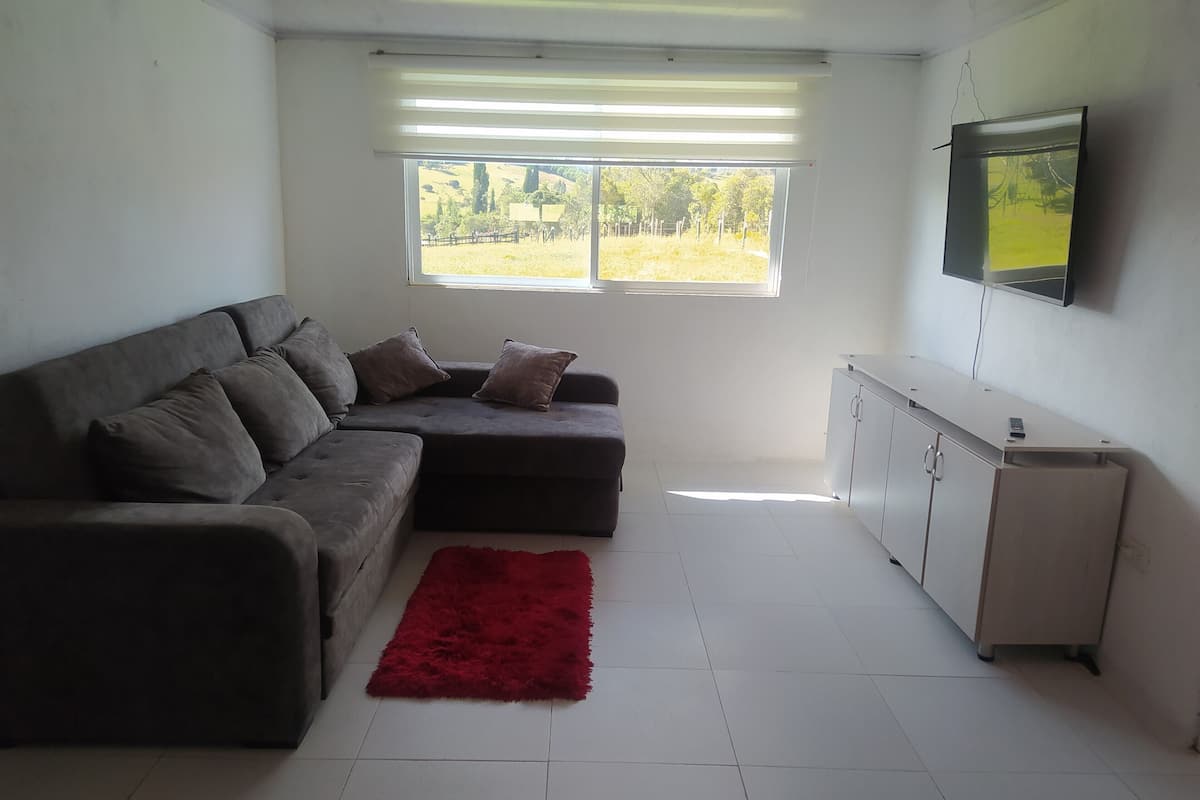 Una sala de estar con un sofá seccional gris, un tapete rojo, un mueble blanco y un televisor montado en la pared.