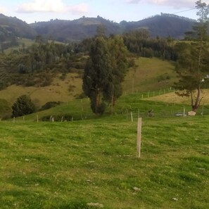 Phòng trò chơi máy arcade