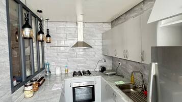Oven, stovetop, dishwasher