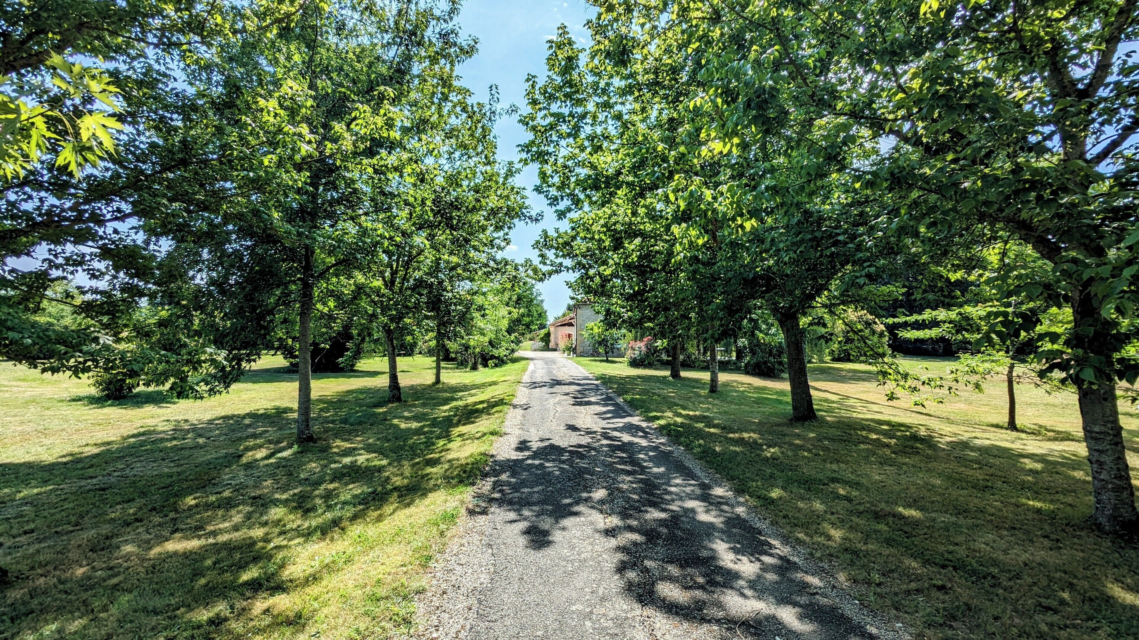 A gravel path flanked by trees leading to a building with a sloped roof.