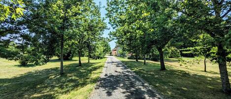 A gravel path flanked by trees leading to a building with a sloped roof.