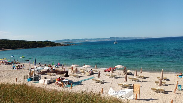 Una playa con filas de tumbonas y sombrillas, un velero en el agua y una vista despejada de la costa.