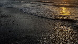Escena de playa con el sol poniéndose sobre el océano, palmeras al fondo y olas suaves rompiendo sobre la orilla.