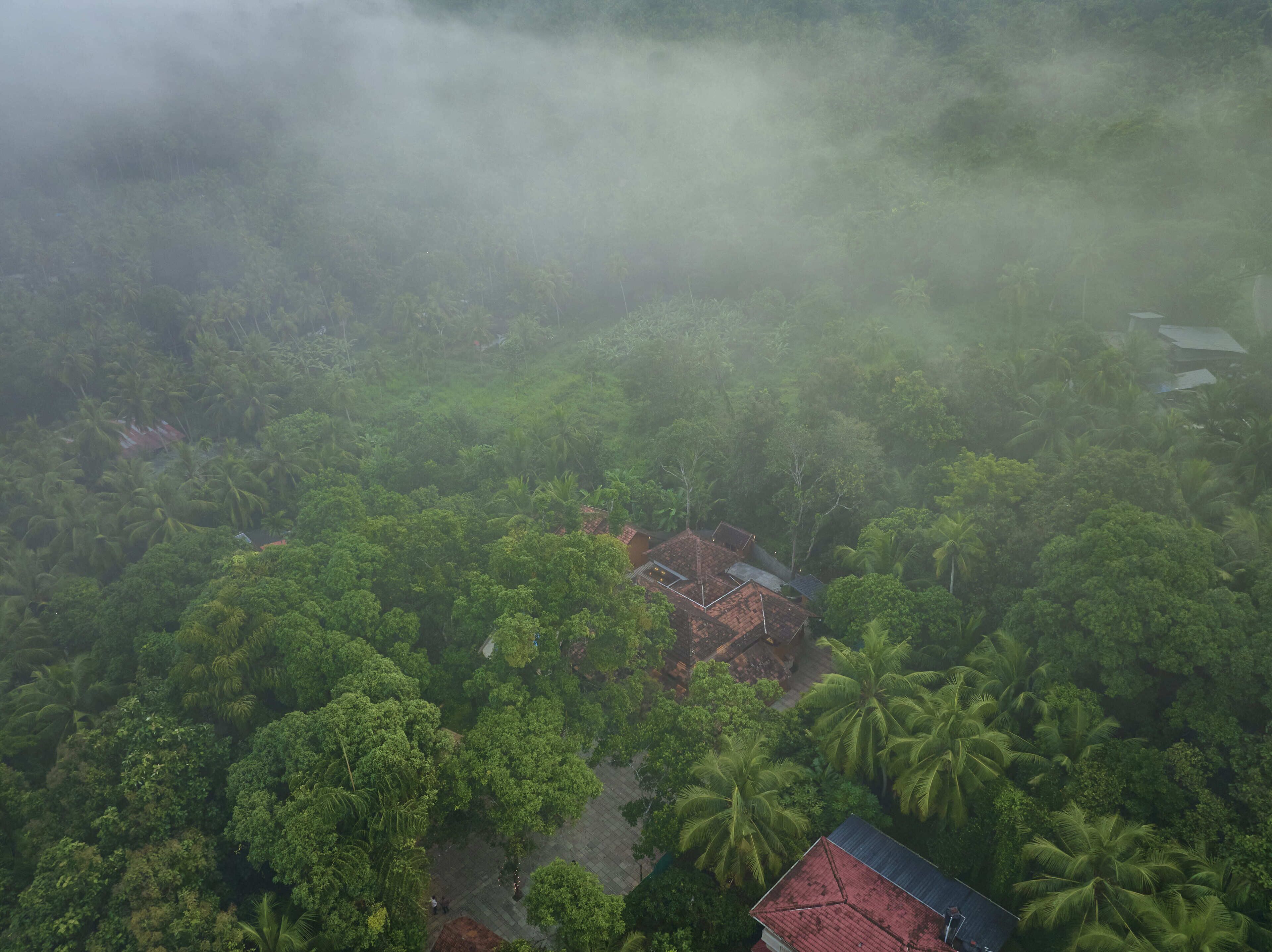 An aerial view of a dense forest with a small building featuring a red roof.
