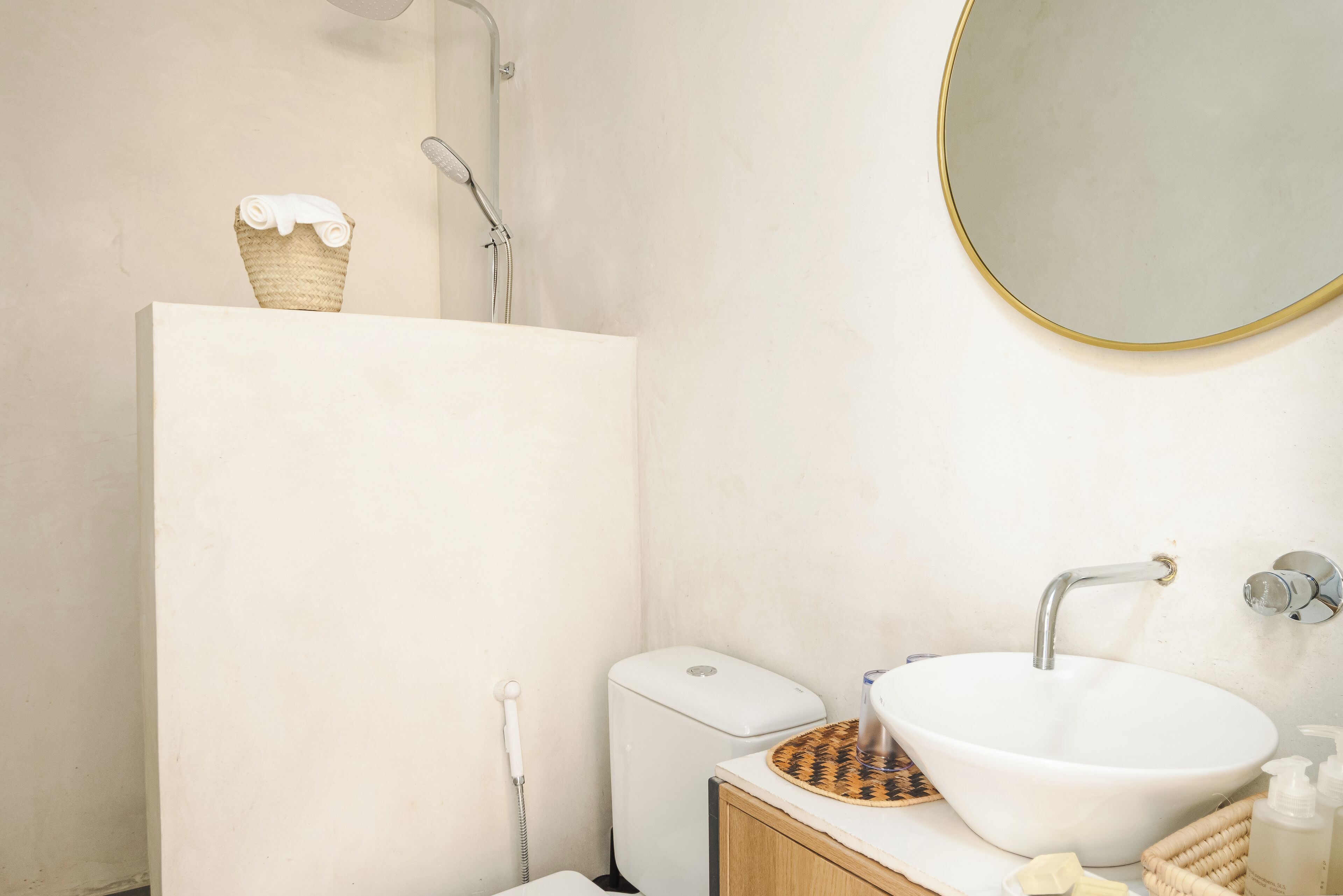Shower, hair dryer, bidet, towels
