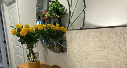 TravelNess Apartment