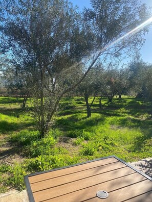 Cabane Deluxe, patio, vue jardin | Coin séjour