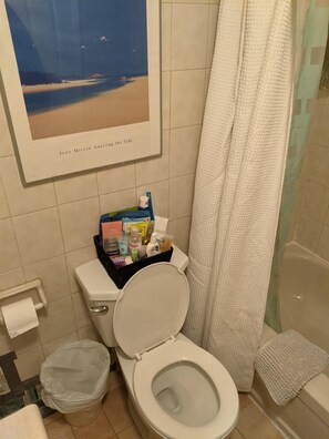 Hair dryer, towels, soap, toilet paper