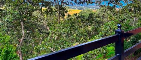 Familien-Doppelzimmer, Gartenblick | Terrasse/Patio