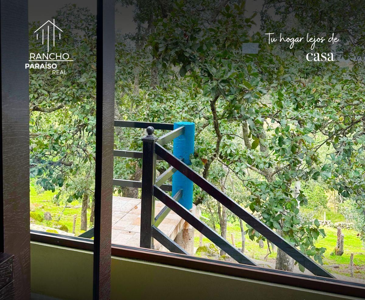 Vista desde una ventana con una escalera de metal que da al exterior, rodeada de vegetación. La imagen incluye un logotipo, un número de contacto y una ubicación en México.