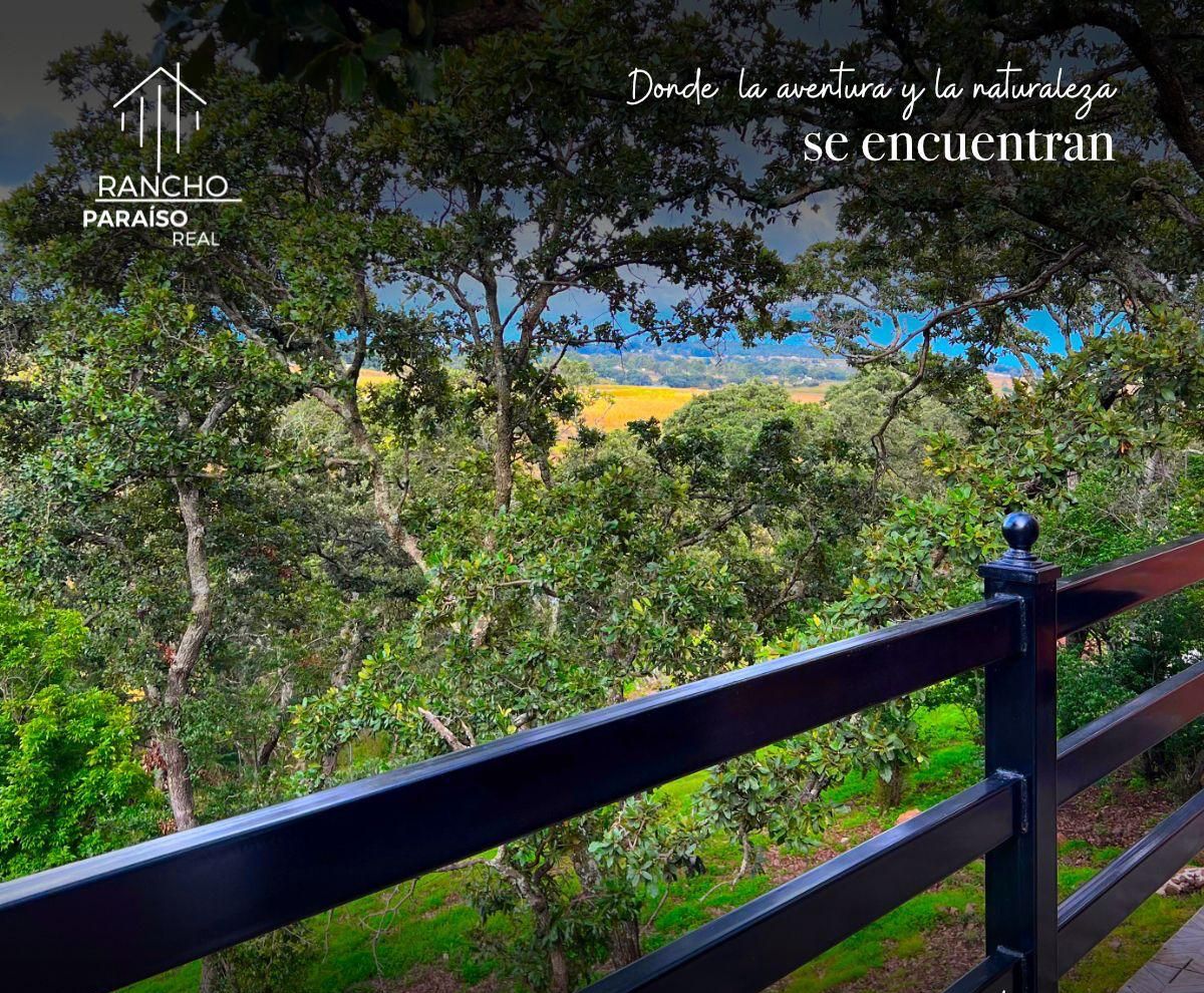 Una vista panorámica desde un balcón con abundante vegetación y cielo despejado.