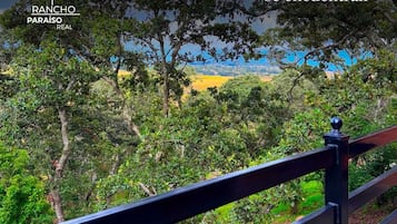 Vista panorâmica de uma varanda com vegetação exuberante e céu claro.