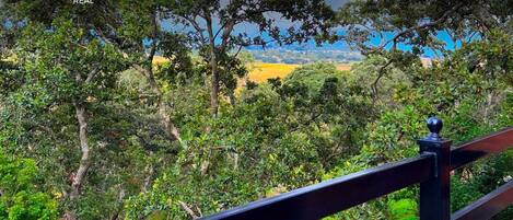 A scenic view from a balcony with lush greenery and a clear sky.