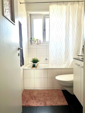 SĂšche-cheveux, serviettes fournies, savon, papier toilette