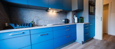 Fridge, oven, stovetop, dishwasher