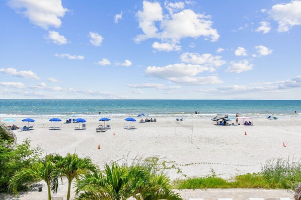 On the beach - Oceanfront Bliss at Seagate! (Indian Shores)