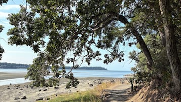 Chaises longues, serviettes de plage