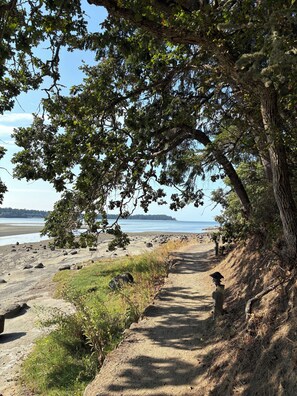 كراسي للتشمس، مناشف للشاطئ