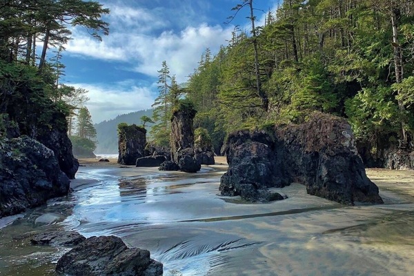 Sun-loungers, beach towels