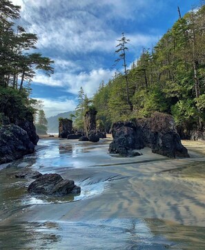 A beach with rocky formations and dense forest. - Ocean Front Nature Resort !  (Nanoose Bay)