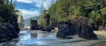 Ocean Front Nature Resort ! 