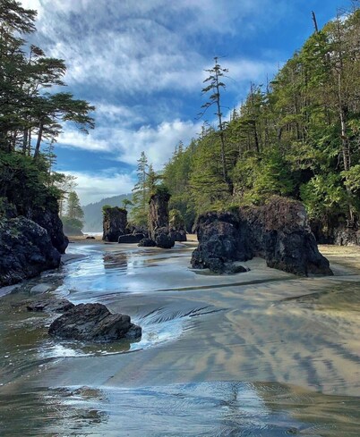Ocean Front Nature Resort ! 