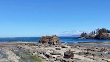 Sun loungers, beach towels