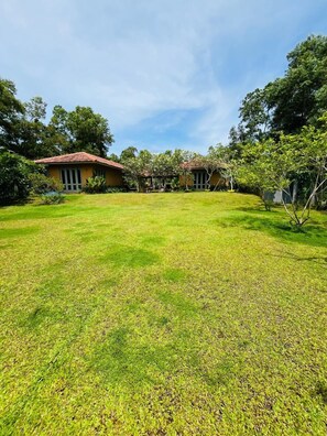 Jardín