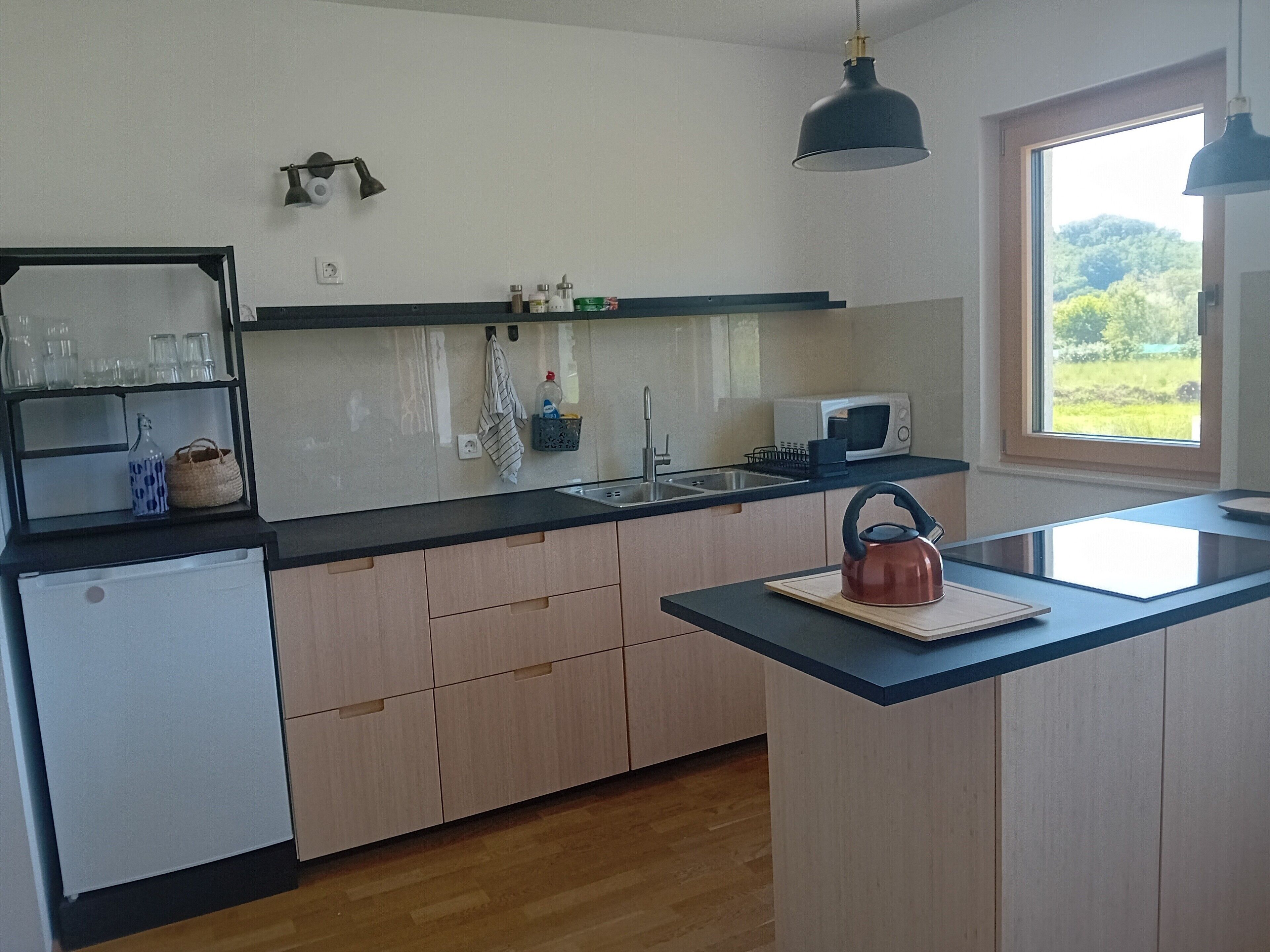 Microwave, oven, cookware/dishes/utensils, paper towels