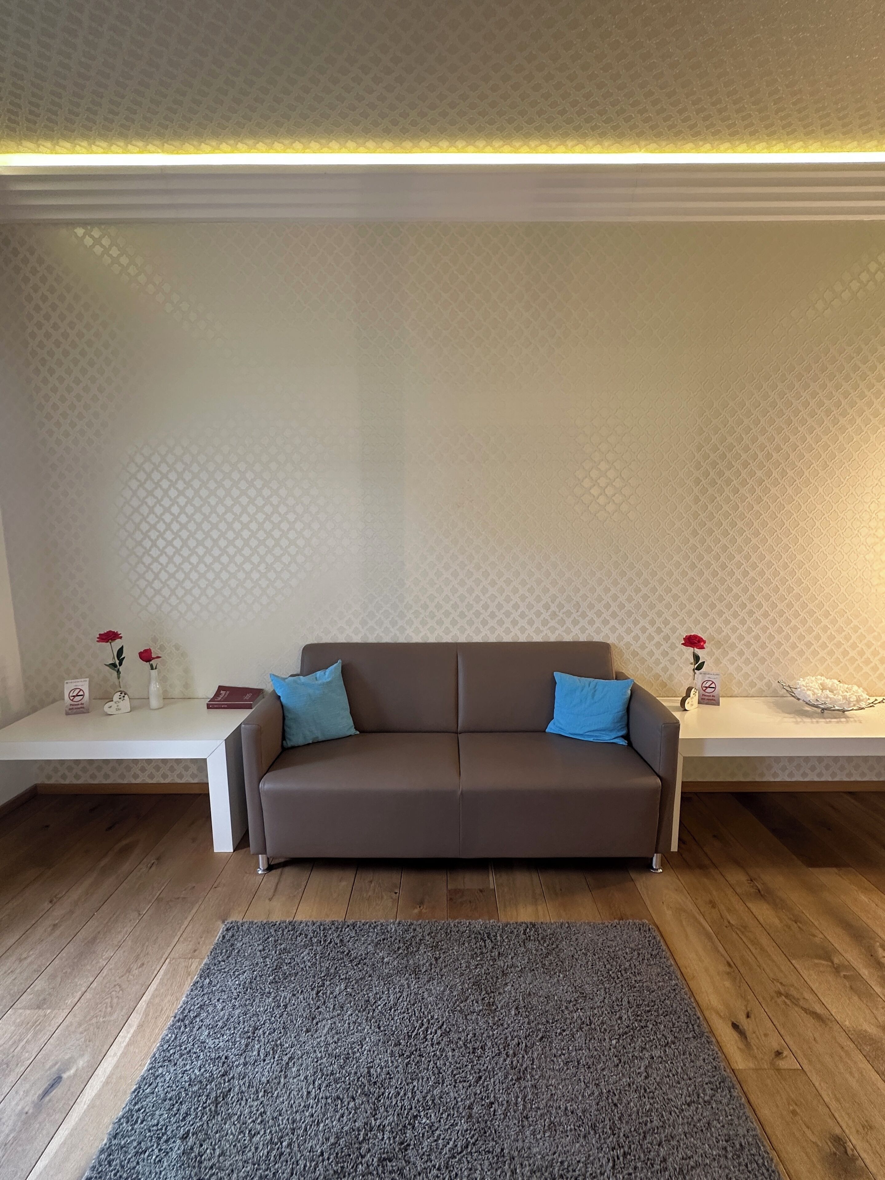 Een moderne woonkamer met een bruine bank, twee blauwe kussens, een grijze vloerkleed en een witte salontafel.