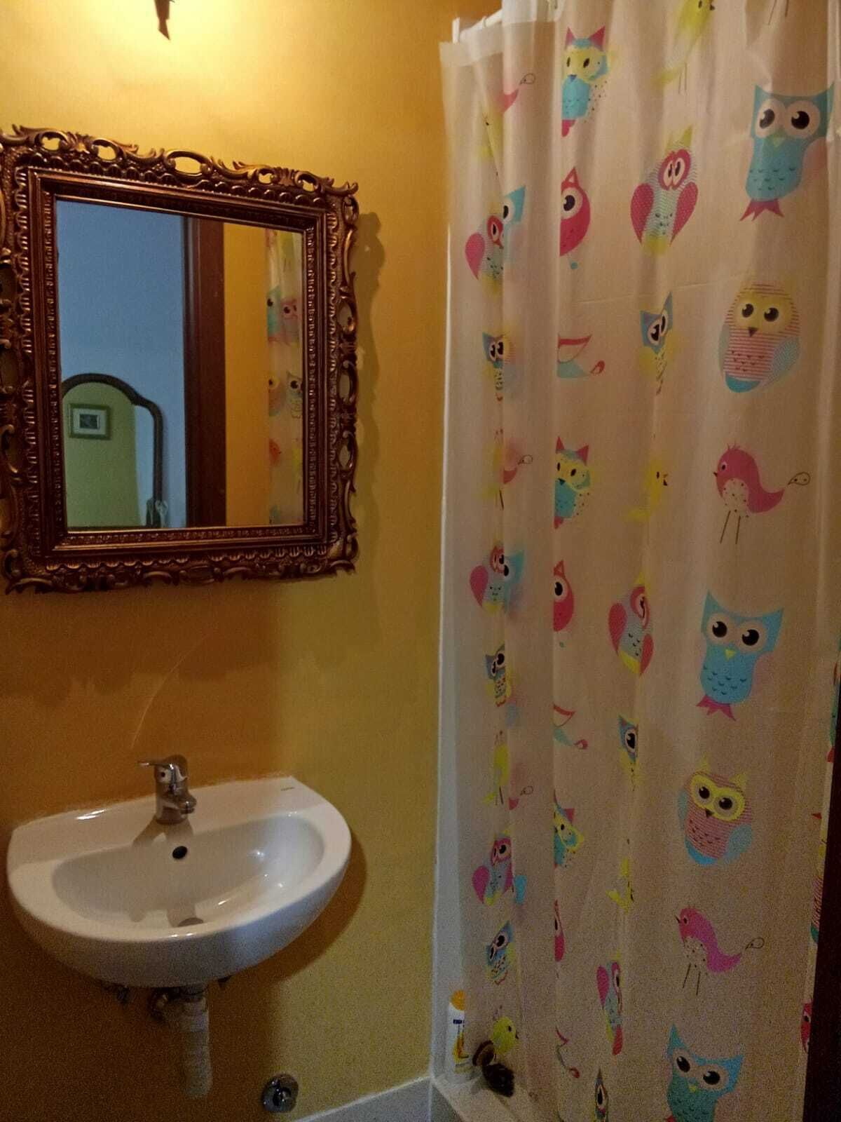 Une salle de bain avec un lavabo blanc, un miroir doté d’un cadre orné et un rideau de douche orné de motifs colorés représentant des hiboux.