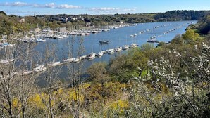 A marina with numerous boats docked along a river, surrounded by trees and a distant town.