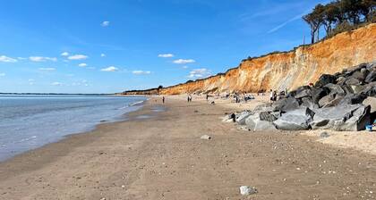 Les Roses Trémières - NIVILLAC