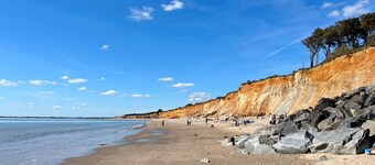 Les Roses Trémières - NIVILLAC