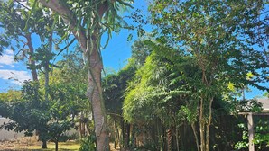 Un jardí amb arbres i plantes diverses, una tanca de fusta i una zona enjardinada.