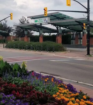 المنطقة  المحيطة بالمنشأة