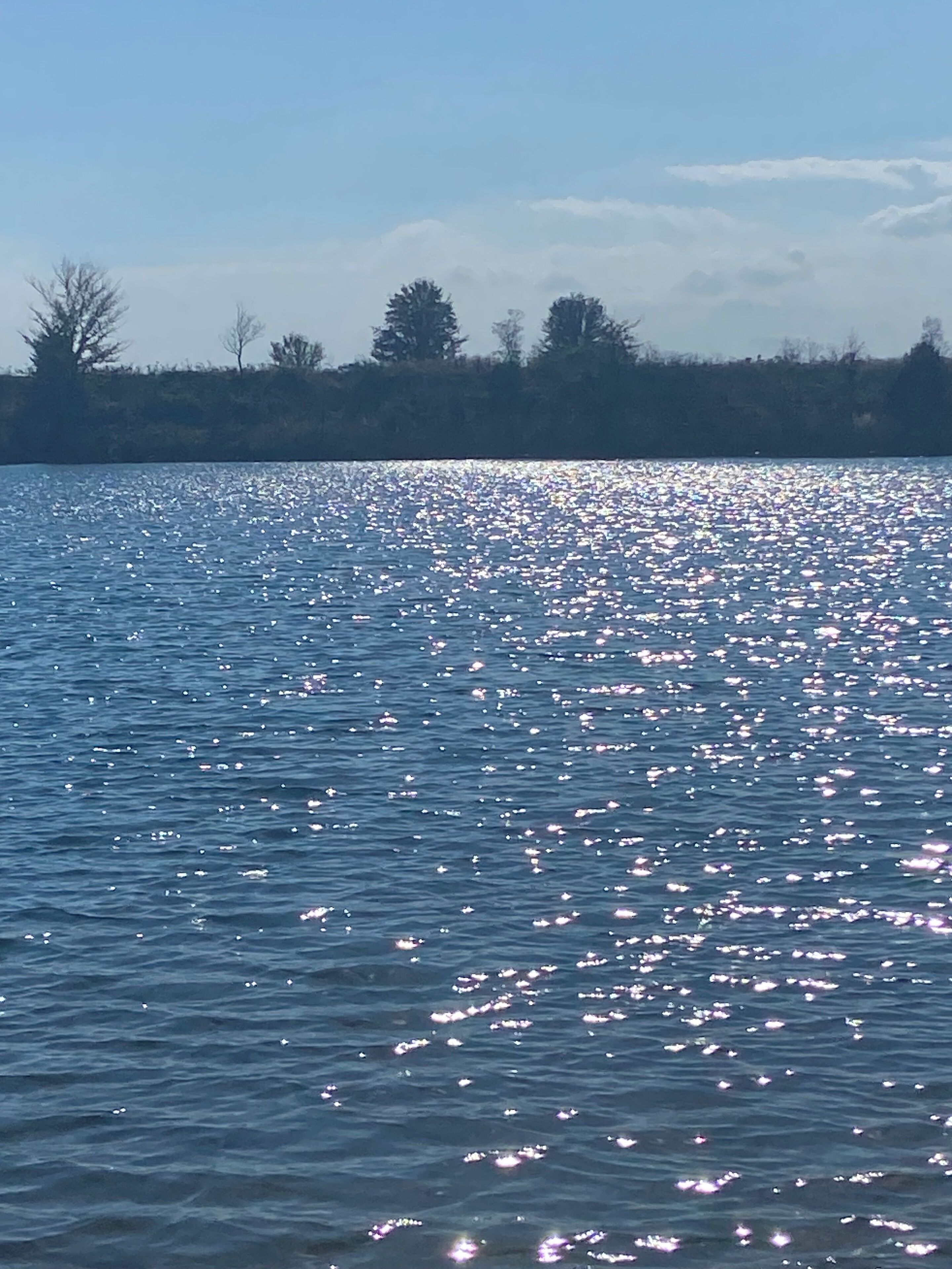 Rustig wateroppervlak dat zonlicht weerkaatst, met een verre oever en bomen.