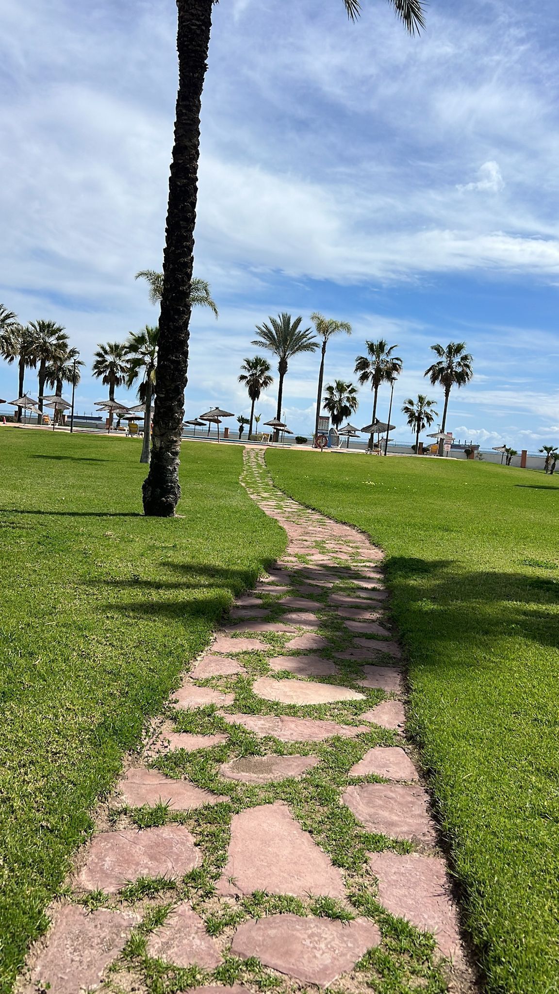 Àrea exterior de l'allotjament