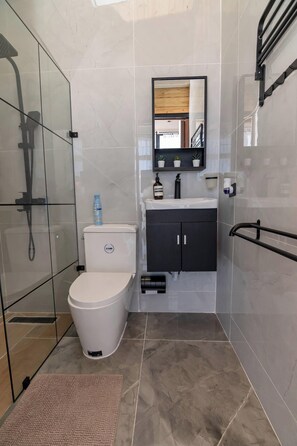 Shower, towels, soap, toilet paper