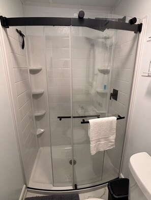 Hair dryer, towels, soap, toilet paper