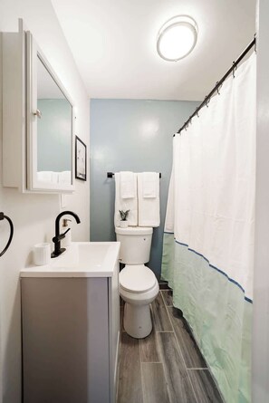 Shower, hair dryer