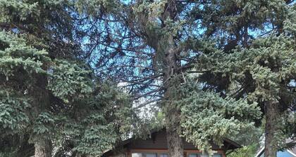 Shady Lane Cottage is a nice 2-bedroom house with AC in charming Redfield.