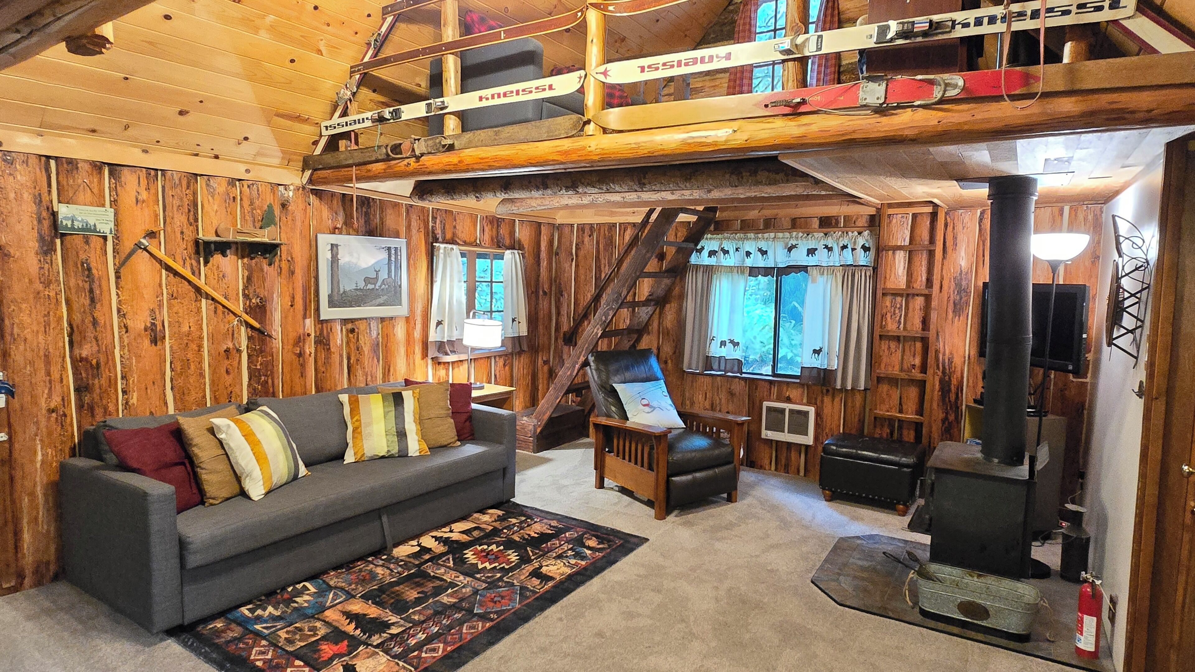 Smart TV, fireplace, books, stereo