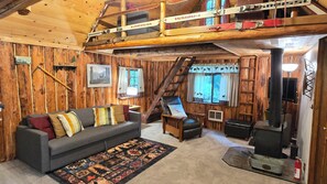 Smart TV, fireplace, books, stereo