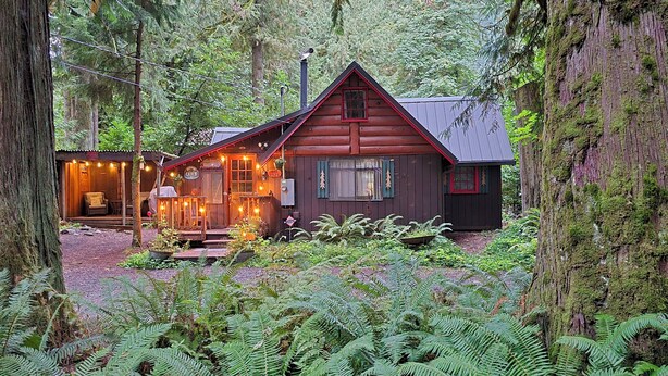 Eine rustikale Holzhütte mit Veranda und Lichterkette, umgeben von dichtem Wald und Farne.