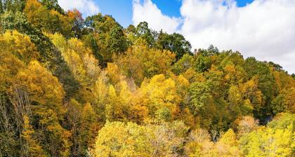 Brand New! Creekside Cottage• in Boone • Fire Pit