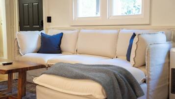 Smart TV, fireplace, books, music library