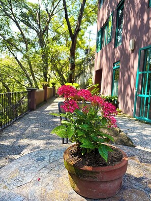 Enceinte de l’hébergement