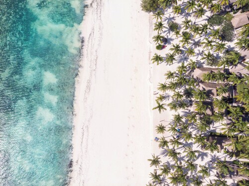 Shell Studio Paje - by Liv Zanzibar