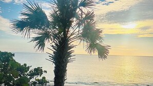 Eine Palme am Strand unter blauem Himmel und ruhiger See.